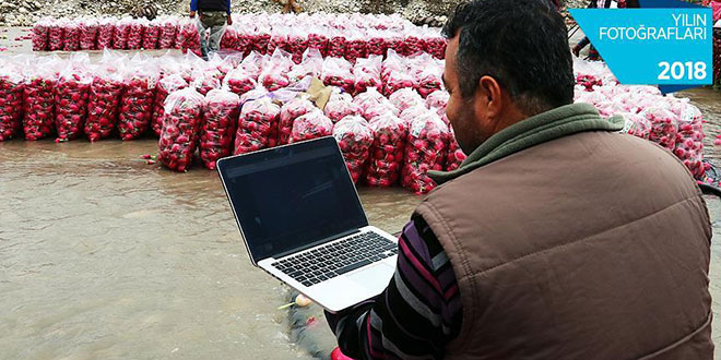 Aa'nın
