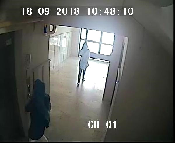 3 Aylık Hamile Kadın Hırsızlıktan Tutuklandı
