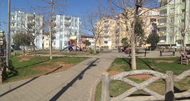 Gaziantep'te pitbull kavgası: 1 yaralı