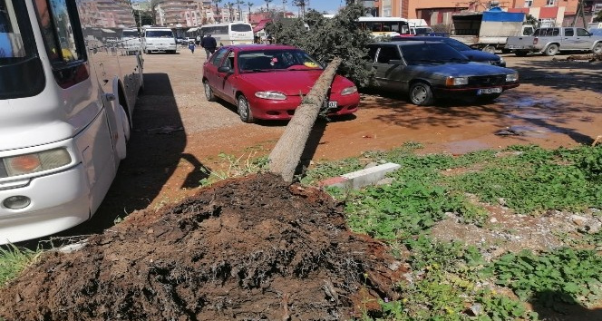 Mersin'de fırtına araç ve tarım arazilerine zarar verdi
