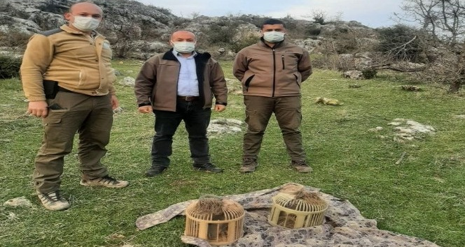 Kurakçılık yöntemiyle keklik avlayan 2 kişi yakalandı