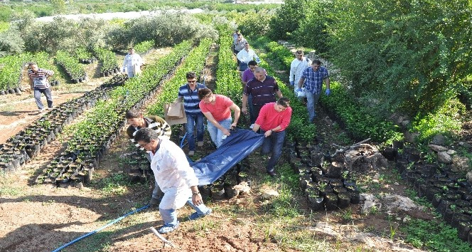 Cinayet faili 9 yıl sonra kiracısı çıktı