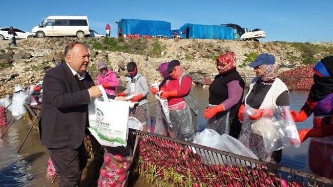 Osmaniye Başkan Tarhan Soğuk Suda Çalışan Kadınları Unutmadı