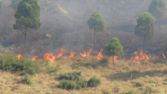  Hatay'da Habib-i Neccar Dağı'nda Makilik Alanda Yangın