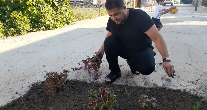 Kapatılmayan yol çukuruna çiçek ekti