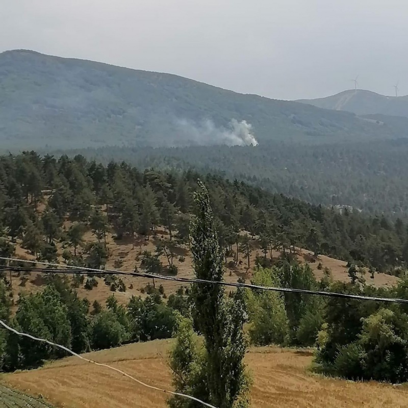 Osmaniye'de çıkan orman yangını kontrol altına alındı