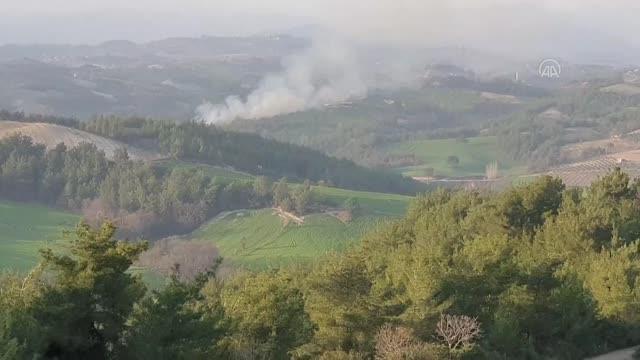 Kadirli'de ormanlık alanda çıkan yangın söndürüldü.