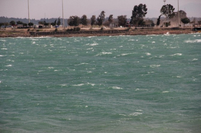 Adana'da Rüzgar Ağaçları Kökünden Söktü