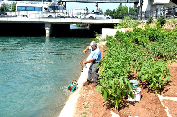  Adana'nın Göbeğindeki Sulama Kanalını Bostana Dönüştürdü