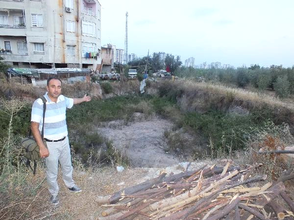 Antik Mezarlara Sahip Çıkılmadı, Bin 800 Yıllık TARİH Otlarla Kaplandı