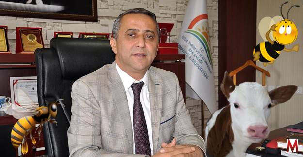 Arı ve Buzağı Desteği Başvuruları Başladı