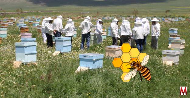 Arı yetiştiricileri uyarıldı 