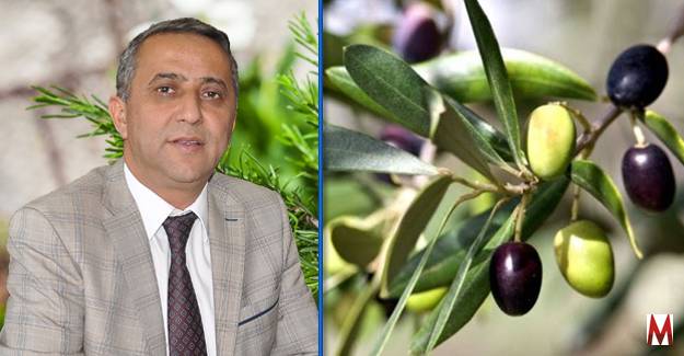 Budama kursu için başvurular başladı