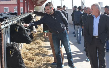 Büyükbaş Hayvan Yetiştiricileri için teknik inceleme gezisi