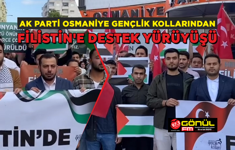 AK Parti Osmaniye Gençlik Kollarından, Filistin'e destek yürüyüşü