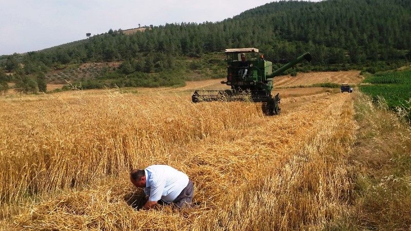 Dane kaybına neden olan operatör cezalandırılacak