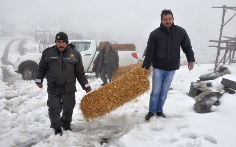  Düldül Dağındaki yaban hayvanları için yem bırakıldı