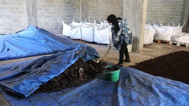 Solucanlardan 12 ton gübre elde ediyor