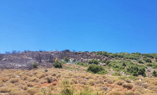 Hatay'da Orman Yangını!!!