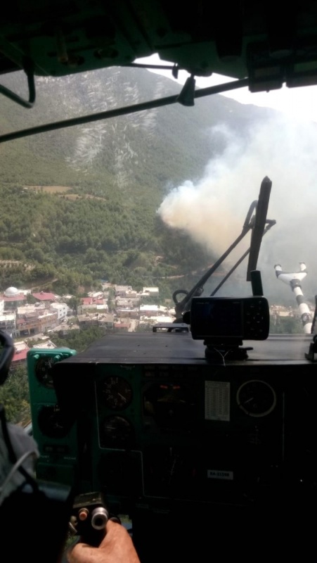  Hatay'daki Orman Yangını