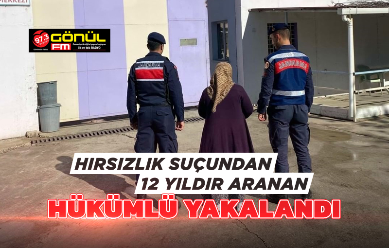 Hırsızlık suçundan 12 yıldır aranan hükümlü, yakalandı