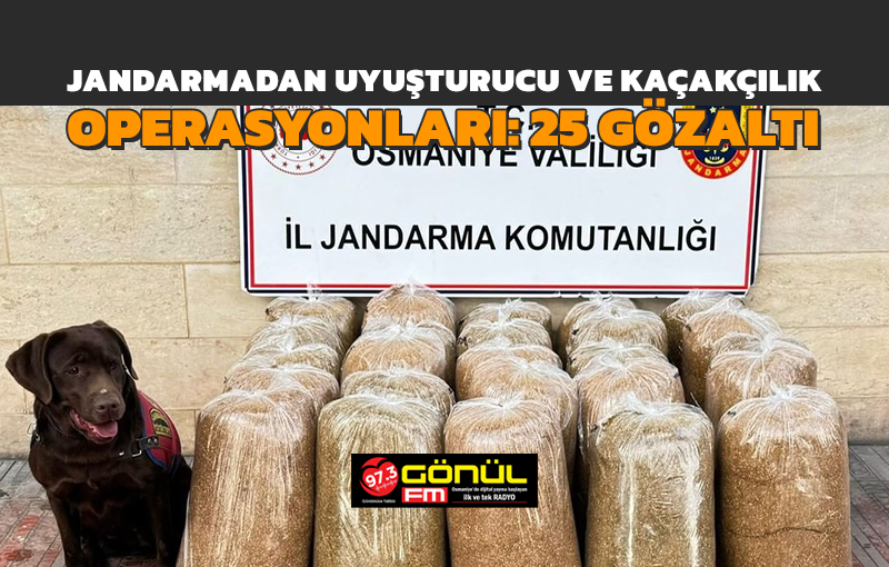 Jandarmadan uyuşturucu ve kaçakçılık operasyonları: 25 gözaltı