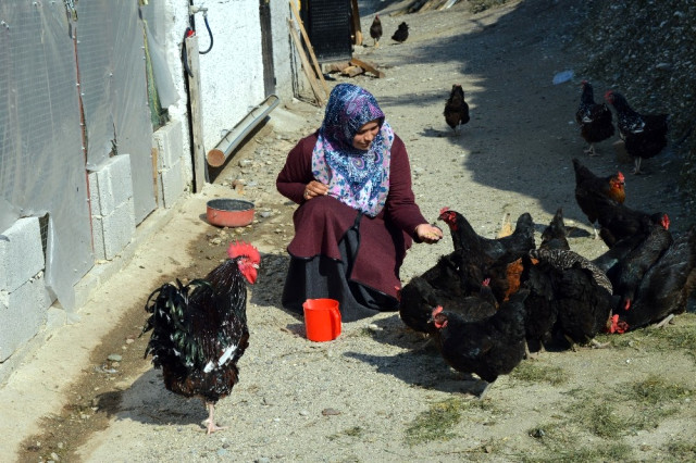 Kadın Girişimci Kümesini Büyütmek İçin Destek Bekliyor 