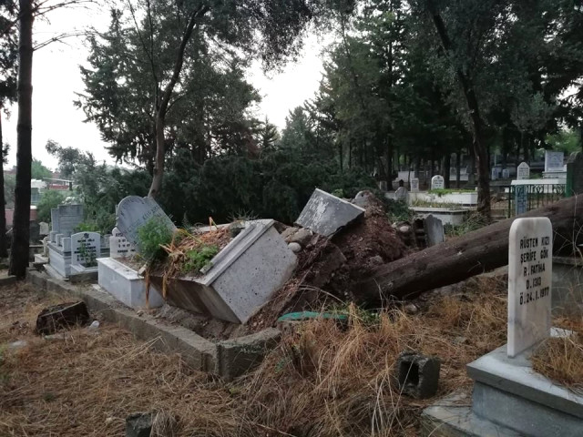  Osmaniye'deki Tarım Arazilerinde Hasar Tespit Çalışması