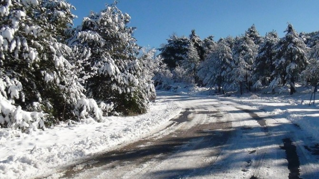 Kapanan Yayla Yolları Açıldı
