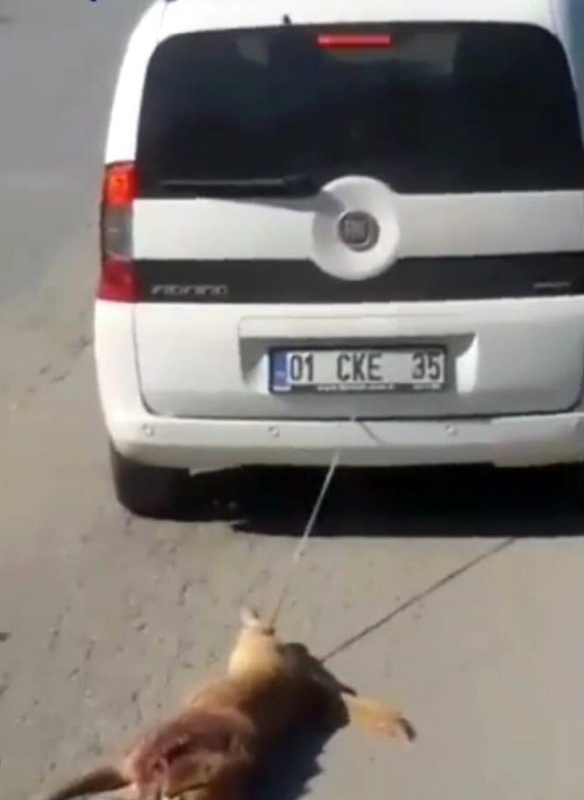 Köpeği Aracın Arkasına Bağlayıp Sürükledi.