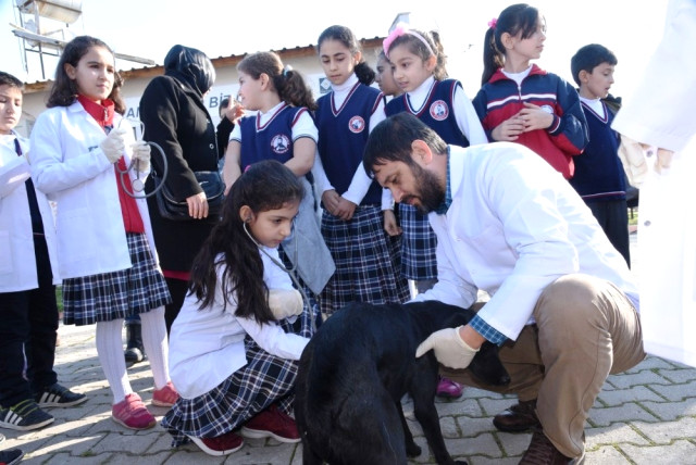 Küçük Veteriner Hekimler Hayvan Barınağında 