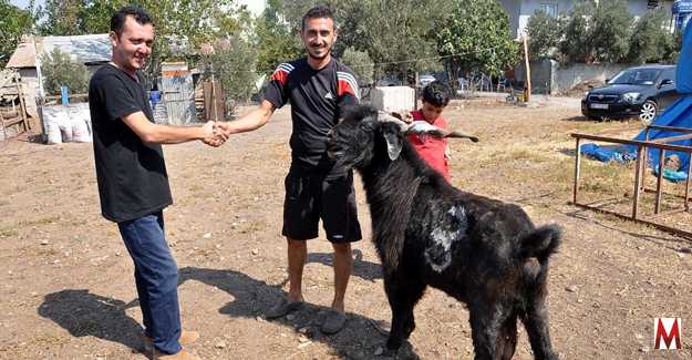 Kurbanlık alırken ve kesim yaparken dikkat ! 