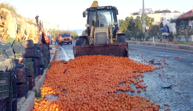 Tırdan Dökülen Narenciye Karayolunu Trafiğe Kapattı.