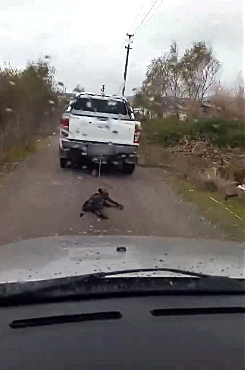 Köpeği Otomobille Sürükleyerek Öldüren Öğretmen Açığa Alındı.