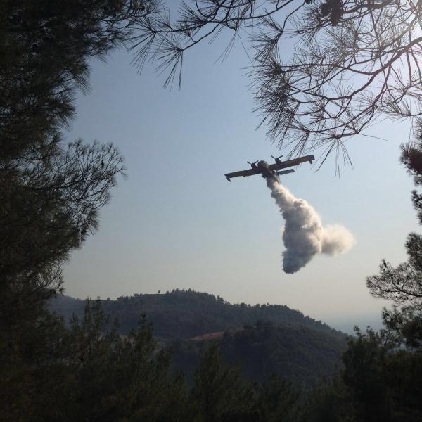 Osmaniye'de 10 Hektar Kızılçam Ormanı Yandı