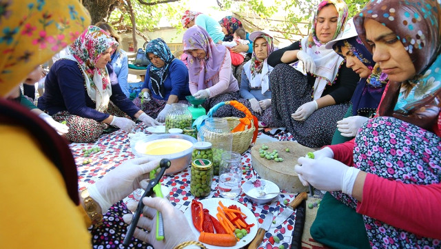 Osmaniye'de Kadınlara Zeytin İşleme Kursu!