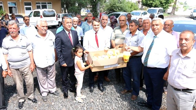 Osmaniye'de turunçgil üreticilerine Akdeniz meyve sineği tuzağı dağıtıldı