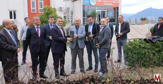 Osmaniye'de köylülere ıhlamur fidanı dağıtıldı