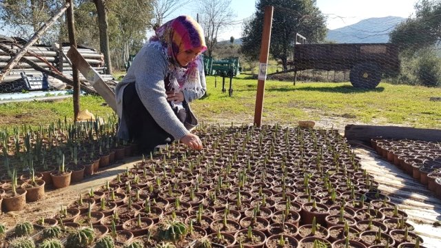 Proje Yapıp Başladığı İşte Siparişleri Yetiştiremiyor 