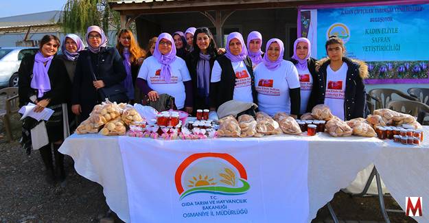 Proje kapsamında “Tarla günü” düzenlendi  