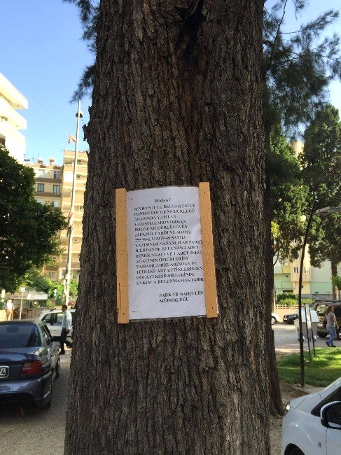 Sanatçılar Parkı'ndaki Ağaçların Kesilmemesi İçin İmza Kampanyası