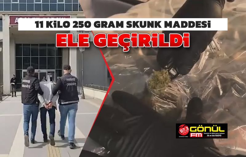 11 kilo 250 gram skunk maddesi ele geçirildi