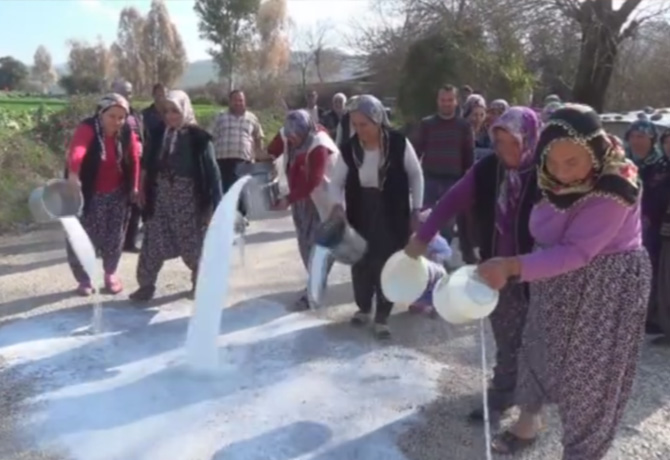 Kadirli'de kadınlar sütlerini sokağa döktü