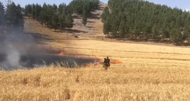 Kahramanmaraş'ta buğday tarlası yandı