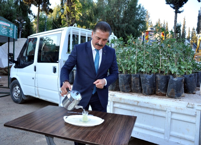 Toroslar'da Şifa Veren