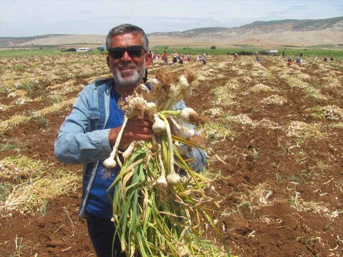 Üreticiden Şehit Aileleri ve Gazilere Ücretsiz Sarımsak 