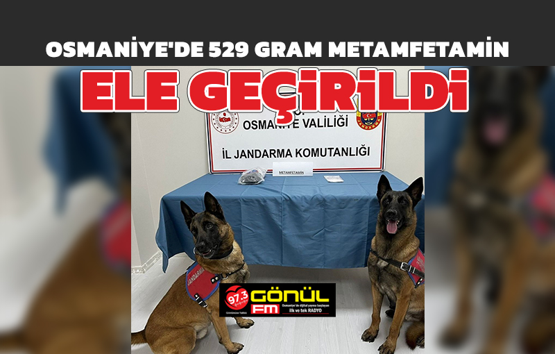 Osmaniye’de 529 gram metamfetamin ele geçirildi, 1 kişi tutuklandı