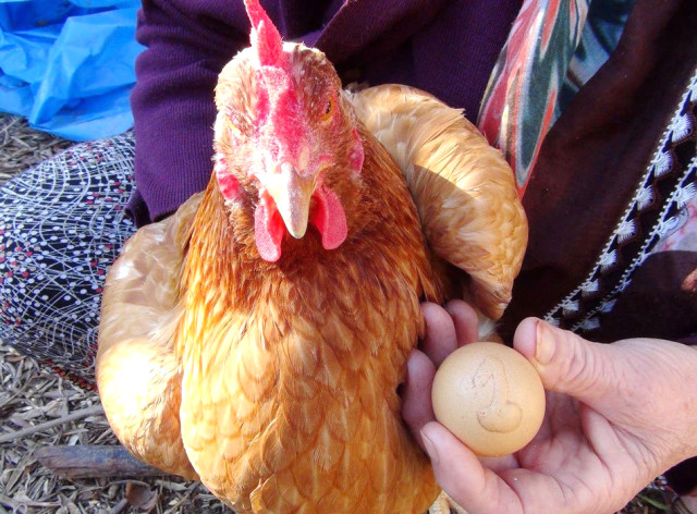 Üzerinde 1 Yazan Yumurtayı Bin Liradan Satışa Çıkardı.