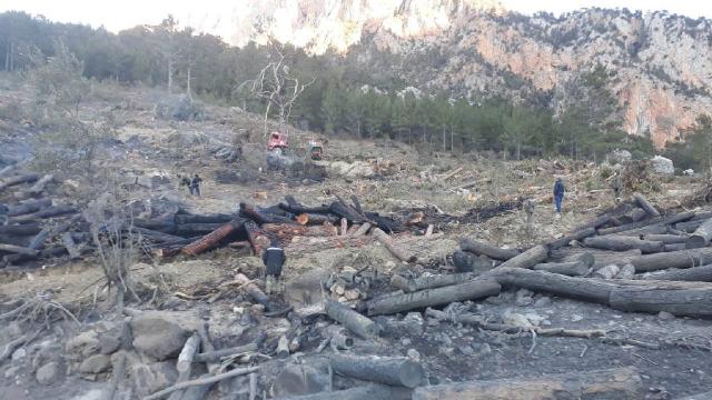 Mersin'de çıkan orman yangını söndürüldü