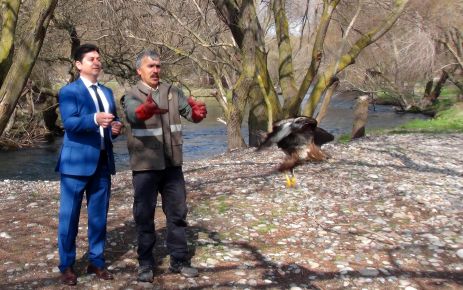 Yaralı Kartal ve Şahin, tedavilerinin ardından doğaya bırakıldı